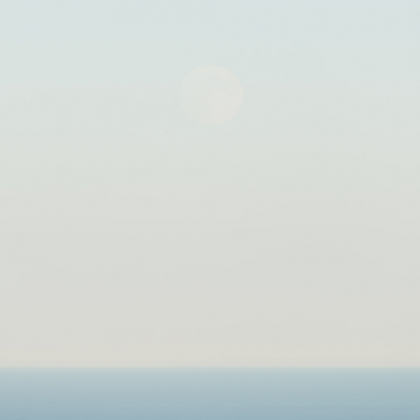 Rice Moon I Jim Nickelson