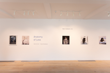 Anatomy of Loss Install 005