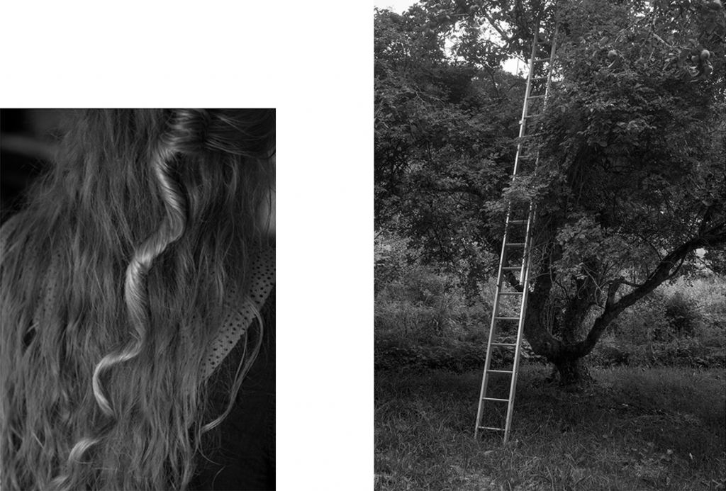 Llovet snake ladder 02