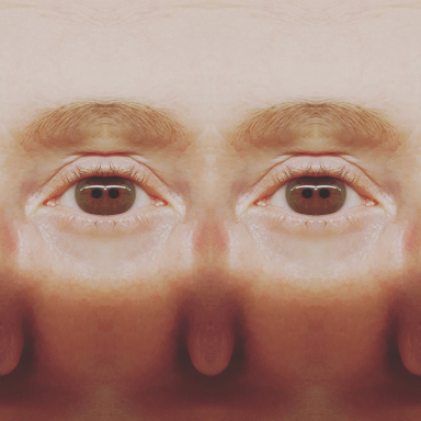 Life Framer Human Body 2 Hysteria Clevercloggs