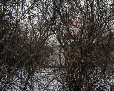 SOROCHINSKI L1020204