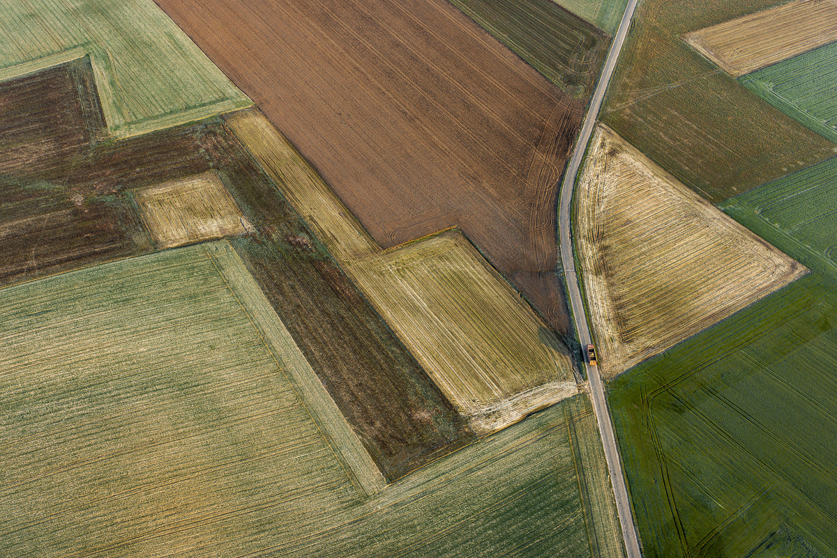 Fields of Belgium